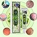 Chinese Herbal Hemorrhoids Cream, Natural Plant Hemorrhoids Treatment Cream Anal Cream for Internal Hemorrhoids Piles External Anal Fissure