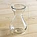 Outflower 1pc Clear Hydroponic Vase Transparent Hyacinth Glass Vase Desktop Plant Hydroponic Vase for Home/Office Decor