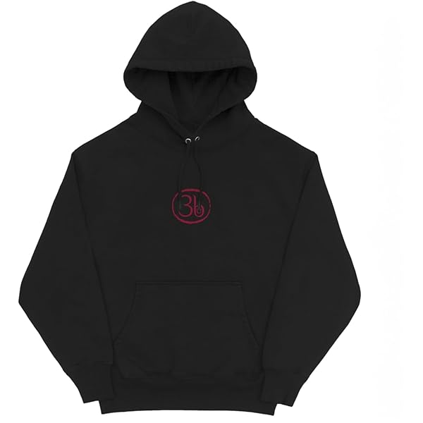 限定値下げ【希少】BRIEFING MENS 3D LOGO PARK ZOZO Linkin Park From Zero Official Merch Slide Hoodie at Amazon