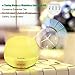 500 Milliliter Essential Oil Diffuser, InnooCare Ultrasonic Cool Mist Humidifier, 4 Timer Setting Aromatherapy Diffuser, Auto Shut-off for Office Home Bedroom Baby Room Study Yoga Spa