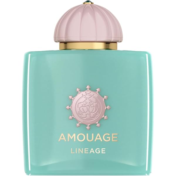 Amazon.com: AMOUAGE ASHORE Eau de Parfum Spray 100ml