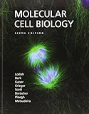 Molecular Cell Biology (Lodish, Molecular Cell Biology) cover