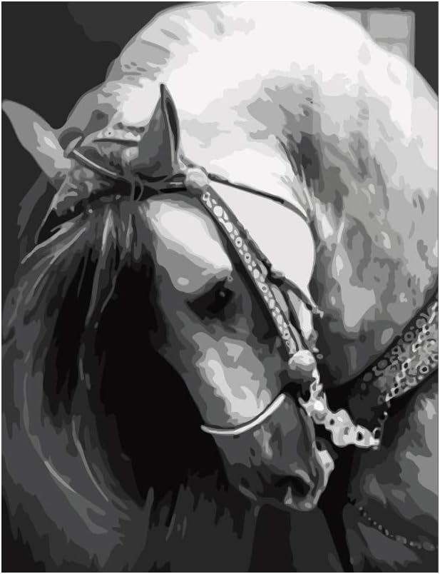 Xdodnev Horse Frameless DIY Digital Oil Paintings by Numbers Canvas Wall Picture Decor