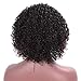AISI QUEENS Kinky Curly Wig for Black Women Black Mixed Red Color Side Part Short Afro Synthetic Heat Resistant Fiber Daily Part Wigs(1b/bug)