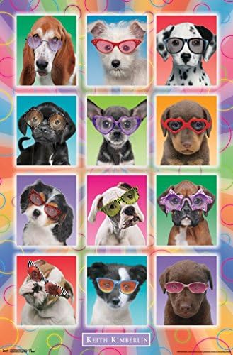 Puppies In Sunglasses By Keith Kimberlin Photo Art Print Poster 22x34