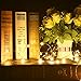 LightsEtc String Lights, 15.7ft 20 LED Solar Warm White Blossom Lighting Waterproof Flower Fairy Lights for Christmas Holiday Party Indoor Outdoor Houses Garden