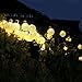 DecorNova 19.7 Feet 30-LED Solar Fairy Lights Outdoor Ball String Lights,Warm White