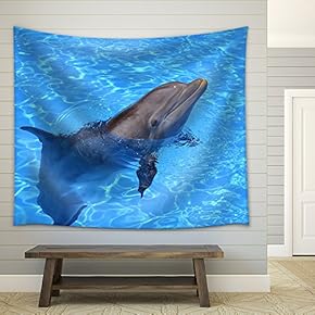 a Lovely Dolphin in The Water - Fabric Wall Tapestry Home Decor - 51x60 inches