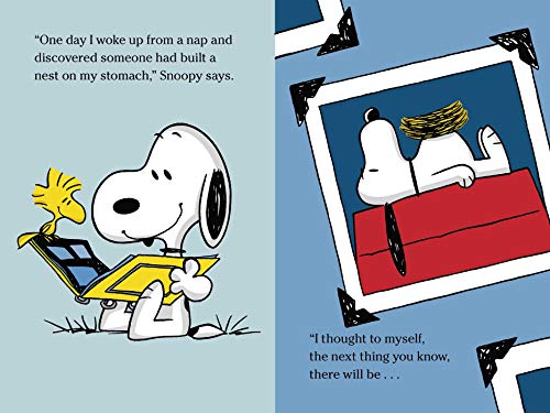 Snoopy And Woodstock Best Friends Forever Peanuts Pricepulse