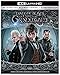 Fantastic Beasts: The Crimes of Grindelwald (4K Ultra HD + Blu-ray + Digital) (4K Ultra HD) primary