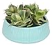 Duovlo Artificial Succulent Plant 7.08 Inch Faux Succulents Agave potatorum Flower Arrangement Craft Wall DIY Materials Pack of 2 (Green)