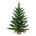 Northlight Mini Pine Artificial Christmas Tree in Burlap Base, Green