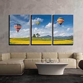 Hot Air Balloon Field Ride - Canvas Art Wall Art - 16" x 24" x 3 Panels