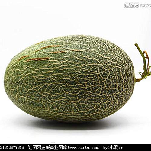 HONIC 30 Piezas de frutales Japón Bonsai Melón Verde Original ...