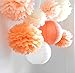 SUNBEAUTY Pack of 8 3 Colors Tissue Paper Flowers Tissue Paper Pom Poms, Wedding Decor, Pom Poms Flowers, Paper Lantern, Pom Poms Craft,Party Decoration (Orange-1)
