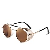 FEISEDY Steam Punk Sunglasses for Men Women Side Shield Round Steampunk Vintage Glasses Shades B2518
