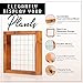 Wall Mount Air Plant Holder – Made from, Sustainably Sourced Wood – Minimalist Style, Visible Wood Grain, Easy-to-Hang Design Wall Decor – Wall Hanging Air Plant Holder