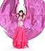 BellyLady Belly Dance Costume Isis Wings With Sticks, Egyptian 360 Degrees Wing GOLD