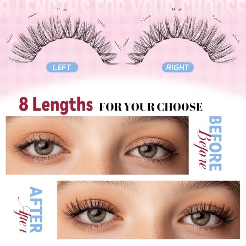 MAYHUG Cluster Lashes Kit,640PCS Natural Wispy Lash Clusters,30D 40D 9-16mm | 640PCS Natural & Wispy Lash Clusters Kit for soft, fluffy and everyday lash styles.
