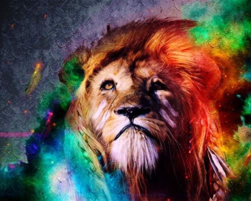 Diamond Painting Completo Diy 5d Leon Arcoiris Animal Imagenes