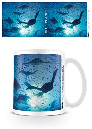 Blue Planet 2 (Modular Ray) Coffee Mug