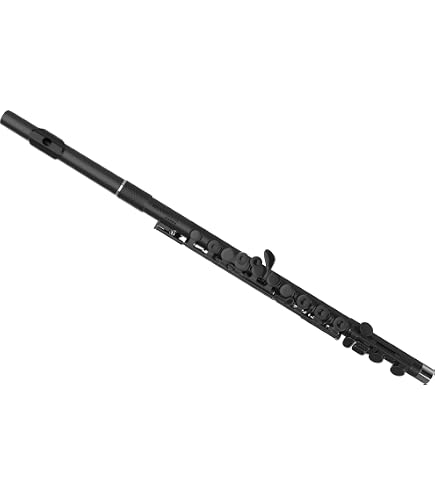 Amazon.com: Nuvo Student Flute Kit - Black : Musical Instruments