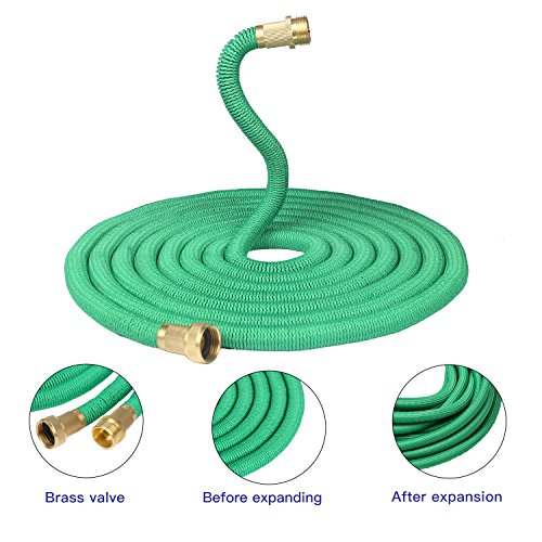 Greenbest 2016 New 50' Expanding Garden Hose, Ultimate