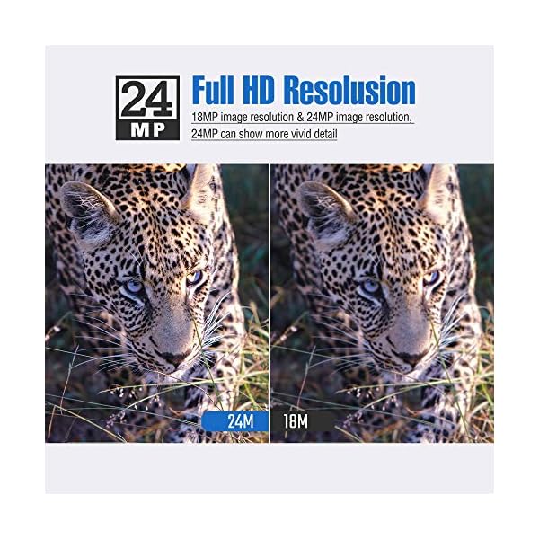 BolyGuard Wildkamera,24MP 1080P Full HD Jagdkamera 940nm No Glow Infrarot 90ft/27M Nachtsicht Überwachungskamera 1.44… – Bild 4