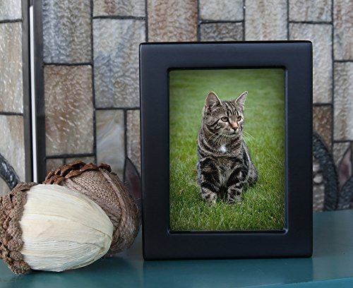 4 Near+Dear+Pet+Memorials+Photo