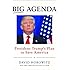 Big Agenda: President Trumps Plan to Save America