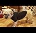 BINGPET Dog Hoodies - Fleece Lined Fall Dog Puppy Sweatshirt Soft Warm Sweater Winter Hooded Clothes for Small Medium Large Dogs & Cats