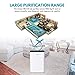 COLZER Air Purifier with True HEPA Air Filter, Air Purifier for Large Room, for Spaces Up to 800 Sq Ft, Perfect for Home/Office with Filter
