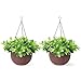 Homes Garden 10.5 in. Dia Plastic Resin Rattan Hanging Planter Brown (2-Pack) Flower Plant Hanging Basket for Home Office Garden Porch Balcony Indoor Outdoor Decoration Gift #G727A00