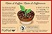 Hills Bros Single Serve Coffee Pods,Gourmet, Medium Roast, 12 Count-Keurig Compatible, Roasted Arabica Coffee, Smooth, Balanced Coffee, Subtle Chocolate Flavor