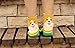 AnVei-Nao Womens Cartoon Cute Huskies Schnauzer Dog Cotton Crew Socks 5 Pairs Number