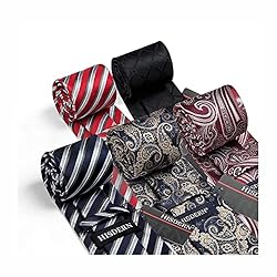 HISDERN Men's Necktie Collections, Lot 5 PCS