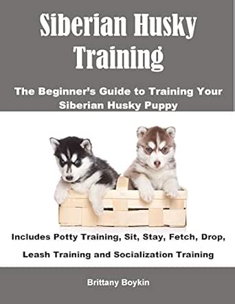 siberian husky training guide