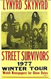 Lynyrd Skynyrd Street Survivor Winter Tour 14
