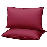 Gooeb Flat Ultra Thin Bed Pillows Queen Size Pillow Set of 2 Extra Soft Down Alternative for Stomach Side Back Sleeper Burgundy 20x30inches