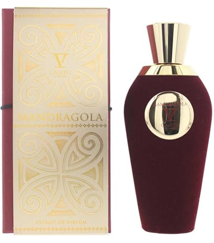 Amazon.com : V Canto Extrait De Parfum Spray (Unisex) 3.38 oz