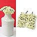 144 X Chic Mini Artificial Paper Rose Flower Wedding Card Decor Craft (Ivory)