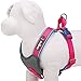 Blueberry Pet 4 Colors Soft & Comfy Summer Hope 3M Reflective Padded Dog Harness Vest, Chest Girth 24