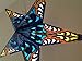 Andromeda Blue Star Lamp