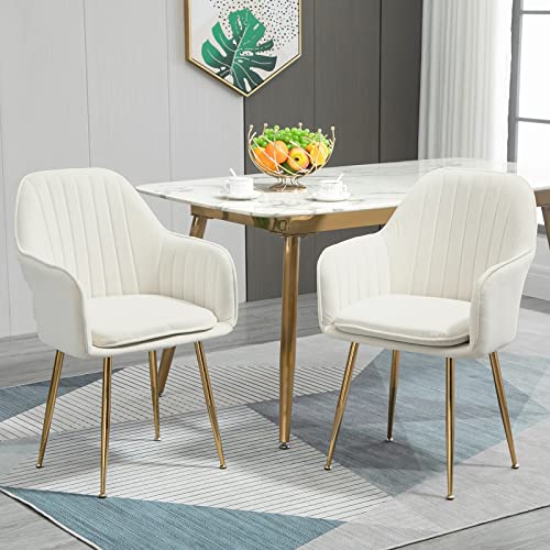 AVAWING Modern Living Dining Room Accent Arm Chairs Set of 2, Velvet