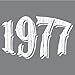 Feisty and Fabulous, Birthday Tee Shirts for Men, 45th Birthday TShirt Ideas, Gray 1977, 45 Year Old