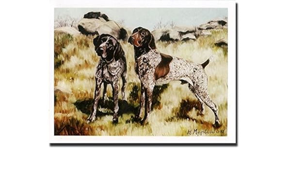 Amazon Com German Shorthaired Pointer Pair Notecards Office