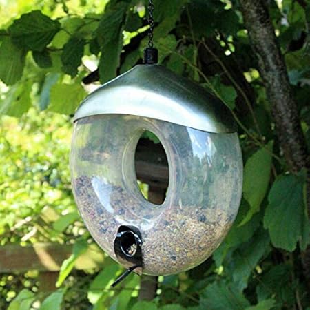 Garden Mile Deluxe Hanging Donut Seed Feeder Garden Bird Feeders