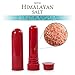 Himalayan Pink Salt Nasal Inhaler Tube Therapy, Natural Breathing Sinus & Lung Relief Respiratory Health Wellness Benefit (6pk / Himalayan Salt)