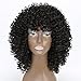 MISSQUEEN Synthetic Afro Curly Hair Wigs for Black Woman Short Kinky Hair Black Heat Resistance Fiber 14