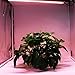 Hard LED Grow Light Strip with Full Spectrum LEDs, 36W IP65 Waterproof Dimmable LED Plant Grow Light Bar for Germination, Growth and Flowering, with 12V/3A Power Supply, Set of 3, All in Kit